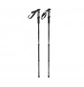 Trekking poles CMP Bern Trekking Poles black/blue 3B36297 M916