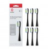 PROFESSIONAL CLEAN BRUSH HEAD P1C5 B06
