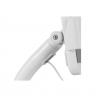 Neomounts Floor stand | FL15-625WH1 | Tilt, Rotate | 7.9- 11 " | Maximum weight (capacity) 1 kg | White