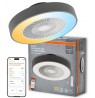 SMART WIFI CEILING FAN CYL REM 76W D550T