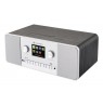 GoGen IR 257 BTDAB Internet Digital Silver