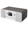 GoGen IR 257 BTDAB Internet Digital Silver