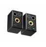 GENESIS ARSEN 402BT 2-way Black Wired & Wireless 60 W