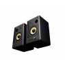GENESIS ARSEN 402BT 2-way Black Wired & Wireless 60 W