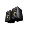 GENESIS ARSEN 502BT 2-way Black Wired & Wireless 60 W
