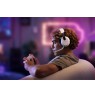 Turtle Beach Stealth 600 White PlayStation Wireless Gaming Headset with up to 80 hour Battery, 50mm Speakers and Bluetooth for