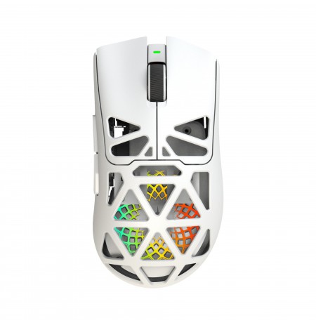 White Shark MORIEN WGM-5025  White