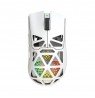 White Shark MORIEN WGM-5025  White