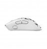 White Shark MORIEN WGM-5025  White