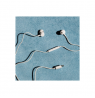 Sudio Earbuds | V3 | USB-C | In-ear | Microphone | Grey White