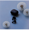 Sudio Earbuds | C8 | Bluetooth | Microphone | Black | Noise canceling | Noise reduction | Wireless