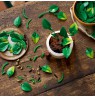 LEGO BOTANICALS 11512 Hanging Dragon Ivy