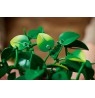 LEGO BOTANICALS 11512 Hanging Dragon Ivy