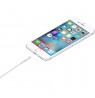 Apple Lightning to USB Cable (1m)