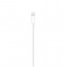 Apple Lightning to USB Cable (1m)