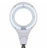 MAUL 8263602 table lamp White