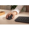Logitech Signature Comfort Plus M850 L mouse Universal Right-hand RF Wireless + Bluetooth Optical 4000 DPI