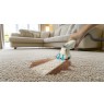 Washing vacuum cleaner PC-PTR 3153 PROFICARE