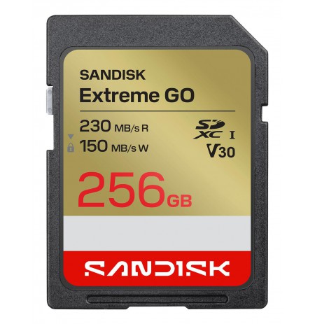 Extreme Go SD UHS-I 256GB SDSDXGN-256G-GNCIN