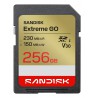 Extreme Go SD UHS-I 256GB SDSDXGN-256G-GNCIN