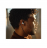 Sennheiser | High End Headphones | IE 900