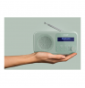 Sharp DR-P420(GN) Tokyo Portable Digital Radio