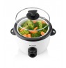 Hyundai RC150 rice cooker