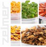 Food dehydrator ZELMER ZFD2025
