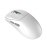 MSI Gaming Mouse | FORGE GM340 WIRELESS | Wireless | 2.4 GHz, Bluetooth, USB | White