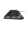Natec Amberjack | Keyboard | Wired | US | Linear | White backlight