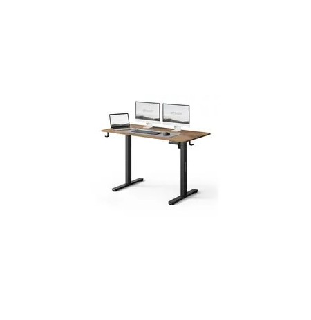 SENSE7 NOJO LIGHT black oak work desk / electrically adjustable height / 120 x 60 cm