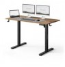 SENSE7 NOJO LIGHT black oak work desk / electrically adjustable height / 120 x 60 cm