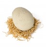 Jurassic World Primal Hatch Interactive Toy Dinosaur & Egg, Hatch & Train your own Baby Dino with 100+ Sounds & Reactions, Kids