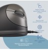 R-Go Tools Ergonomic mouse R-Go HE Break with break software, small (hand length less than 165 mm), right-handed, wired, black