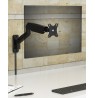ICY BOX IB-MS103-W 81.3 cm (32") Wall Black