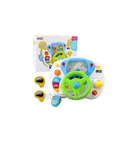 Interactive educational driving simulator with sounds and lights