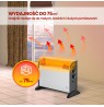 Extralink LCV-06 | Convector heater | 2000W, 3 Modes, Thermostat, Fan