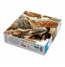 Puzzle Good Loot Imagination: Ernst Haeckel Chelonia - Sea Turtles, 1000 pieces