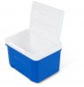 Cooler IGLOO Cool 9 (8 litres) one size