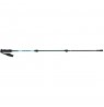 Adult poles VIKING Kivi 2.0 Trekking green   one size