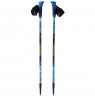 Viking Poles Ruten Pro Nordic Walking