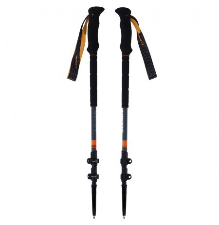 Viking Poles Kangri Skitouring