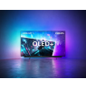 Televizorius PHILIPS OLED 55OLED911/12