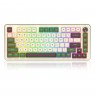 REDRAGON K681CGC-RGB-PRO Cyrus keyboard USB + RF Wireless + Bluetooth White, Green