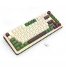 REDRAGON K681CGC-RGB-PRO Cyrus keyboard USB + RF Wireless + Bluetooth White, Green