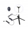 White Shark RL-08 MOONLIGHT-2 Ring LED Light 21cm