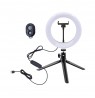 White Shark RL-08 MOONLIGHT-2 Ring LED Light 21cm