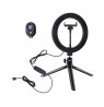 White Shark RL-08 MOONLIGHT-2 Ring LED Light 21cm