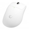 RAMPAGE BLITZ ULTIMATE 8K MOUSE