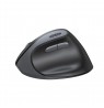 Ugreen wireless optical mouse – black